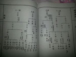 張氏族譜查詢|張氏家族三大房族譜通訊錄線上查詢